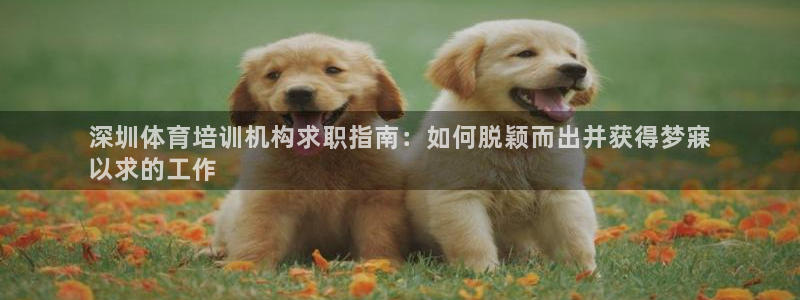 极悦平台官方网站下载安卓：深圳体育培训机构求职指南：