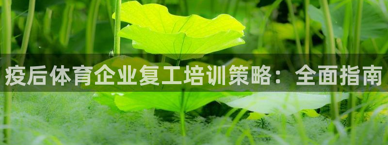 极悦平台和蓝狮平台区别大吗：疫后体育企业复工培训策略