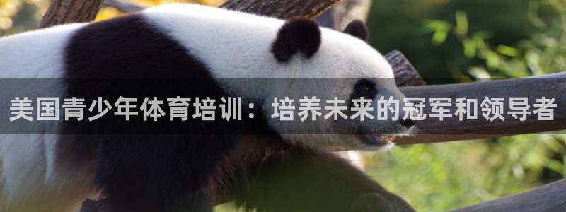 极悦平台注册用户名格式错误：美国青少年体育培训：培养