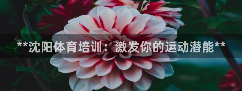 极悦娱乐负责人电话：**沈阳体育培训：激发你的运动潜