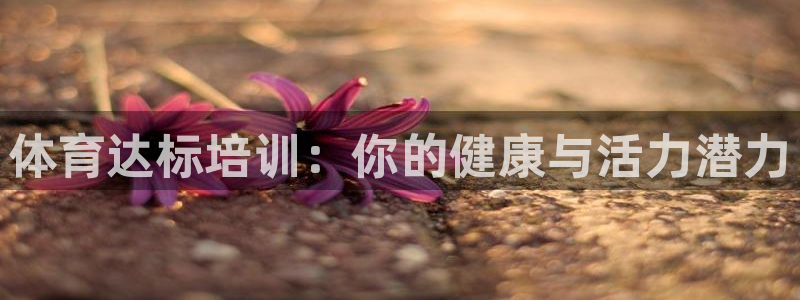 极悦平台官网登录网址是多少：体育达标培训：你的健康与
