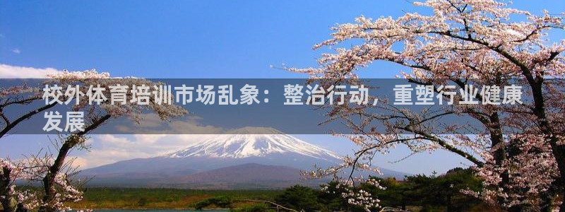 极悦官方网站app下载软件：校外体育培训市场乱象：整