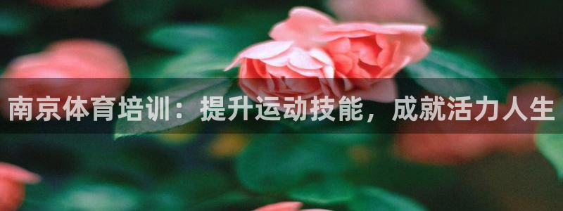 极悦平台注册和登录页面：南京体育培训：提升运动技能，