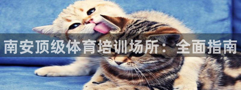 极悦平台安全吗可靠吗：南安顶级体育培训场所：全面指南