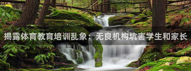 极悦娱乐公司最新招聘信息：揭露体育教育培训乱象：无良