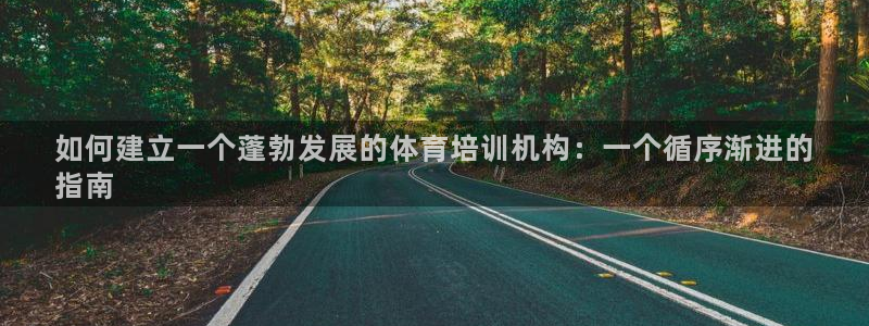 极悦平台是什么公司：如何建立一个蓬勃发展的体育培训机