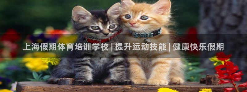 极悦平台官方网站首页登录：上海假期体育培训学校 | 
