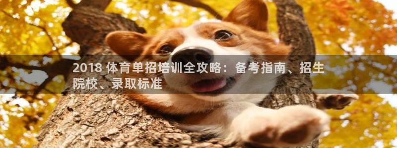 极悦平台城7O777：2018 体育单招培训全攻略：