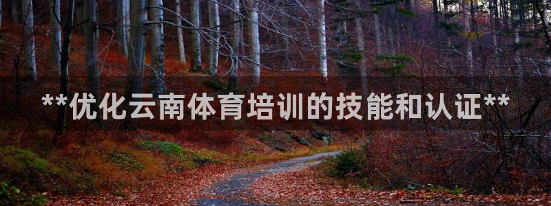 极悦平台下载安装：**优化云南体育培训的技能和认证*