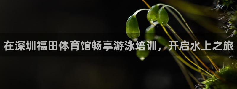 极悦娱乐挂机赚钱是真的吗安全吗：在深圳福田体育馆畅享