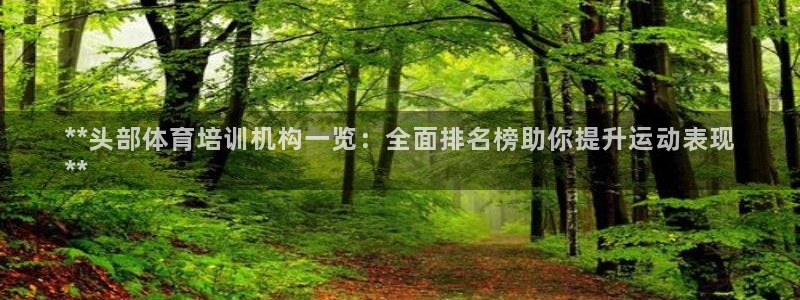 极悦平台登录7.0.2.4手机版下载安卓：**头部体