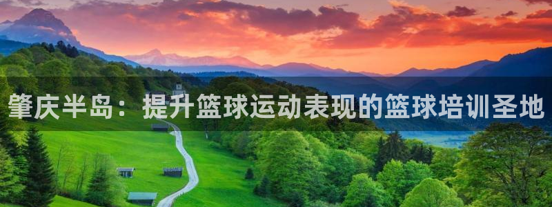 极悦官网入口登录：肇庆半岛：提升篮球运动表现的篮球培