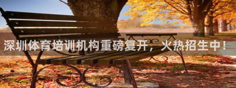 极悦平台集7O777：深圳体育培训机构重磅复开，火热