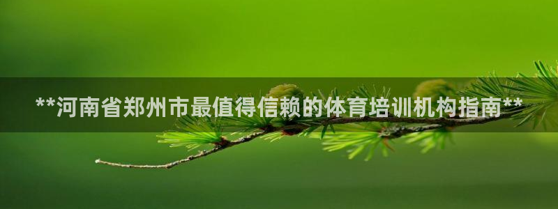 极悦平台用户评价与反馈在哪里：**河南省郑州市最值得