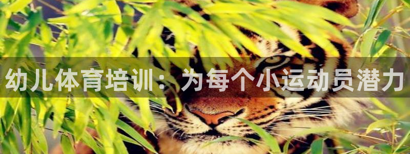 极悦平台客服投诉电话是多少号码：幼儿体育培训：为每个