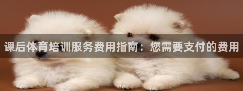 极悦平台是干嘛的啊：课后体育培训服务费用指南：您需要