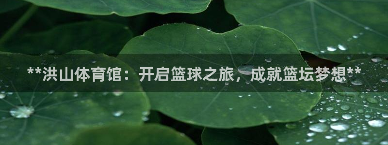 极悦平台决7O777：**洪山体育馆：开启篮球之旅，