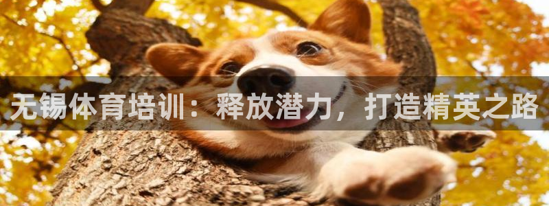 极悦娱乐股东：无锡体育培训：释放潜力，打造精英之路