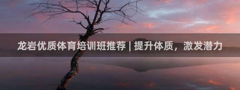 极悦娱乐管理最建议买吗：龙岩优质体育培训班推荐 | 