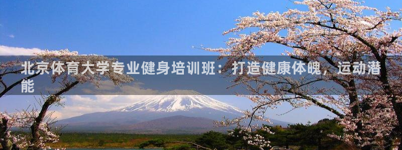 极悦平台登录7.0.2.4手机版下载安装：北京体育大