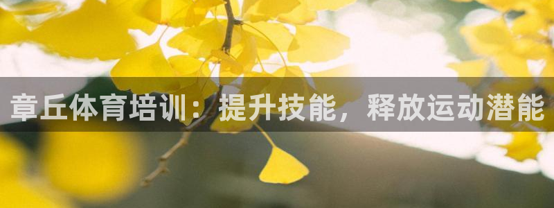 极悦平台官网登录入口下载：章丘体育培训：提升技能，释