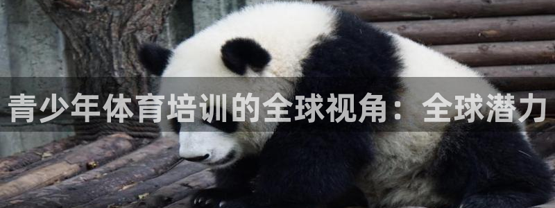 极悦平台官方网站首页下载：青少年体育培训的全球视角：