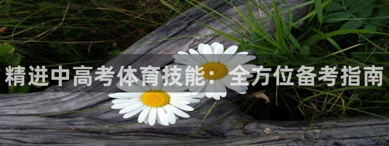 极悦平台下载安装：精进中高考体育技能：全方位备考指南