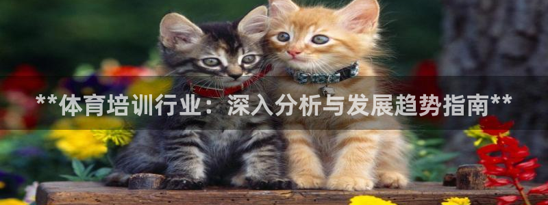 极悦平台平台注册方法与步骤视频：**体育培训行业：深