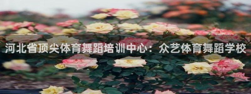 极悦平台客服团队介绍：河北省顶尖体育舞蹈培训中心：众