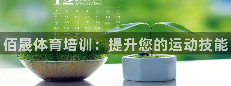 极悦平台注册登录入口网址：佰晟体育培训：提升您的运动