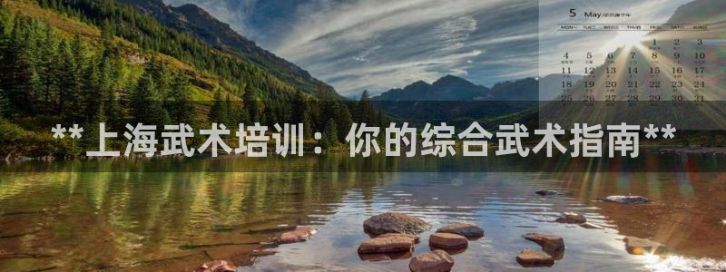 极悦娱乐官网入口下载：**上海武术培训：你的综合武术