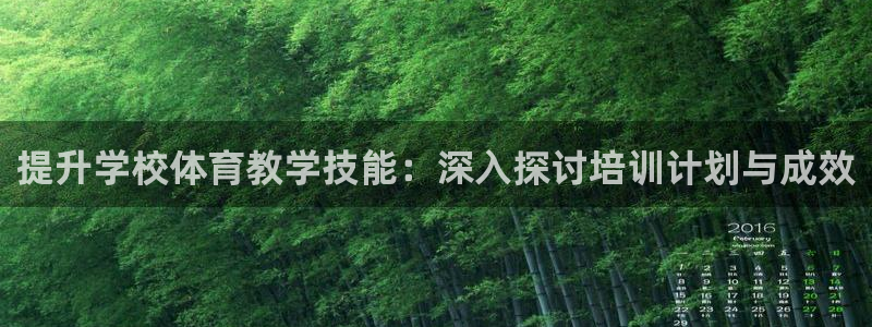 极悦官网旗舰店是正品吗：提升学校体育教学技能：深入探