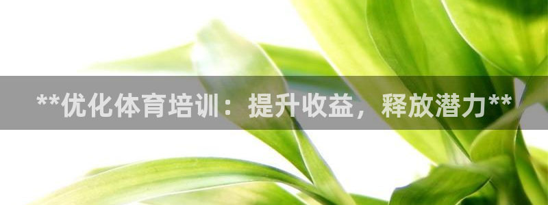 极悦平台和蓝狮平台区别大吗：**优化体育培训：提升收