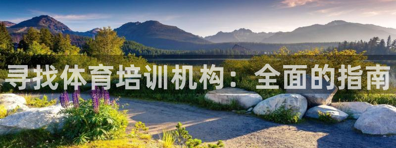 极悦平台注册用户名生成器下载：寻找体育培训机构：全面