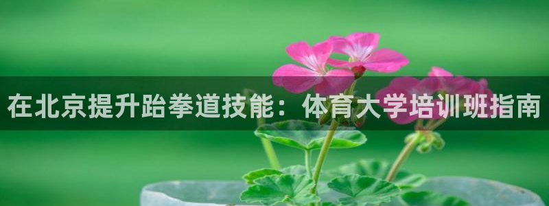 极悦平台有风险吗知乎：在北京提升跆拳道技能：体育大学