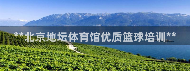 极悦平台是干什么的公司：**北京地坛体育馆优质篮球培