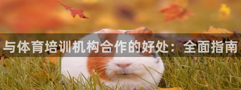 极悦娱乐的最新版本更新内容：与体育培训机构合作的好处