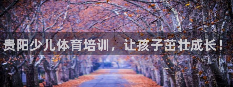 极悦娱乐创始人背景故事：贵阳少儿体育培训，让孩子茁壮