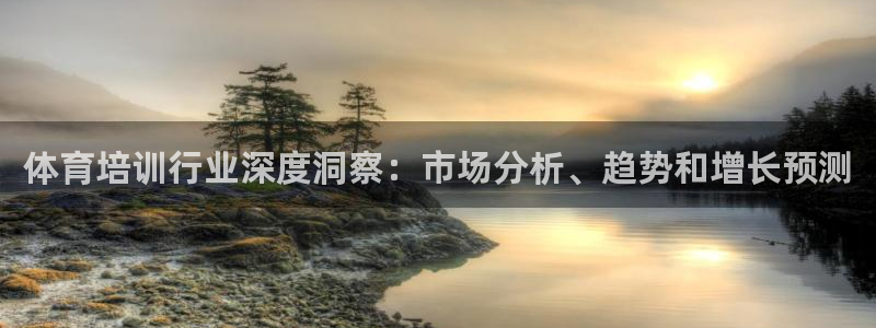 极悦平台注册流程详解：体育培训行业深度洞察：市场分析