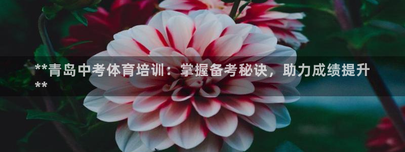 极悦平台官方网站入口：**青岛中考体育培训：掌握备考