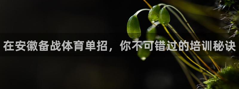 极悦娱乐的背景和历史背景：在安徽备战体育单招，你不可