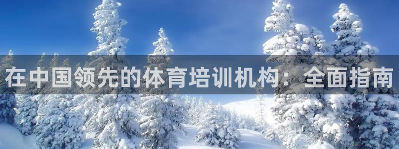 极悦平台注册用户名验证失败：在中国领先的体育培训机构