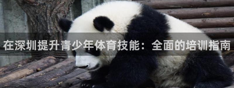 极悦平台平台注册方法与步骤图：在深圳提升青少年体育技