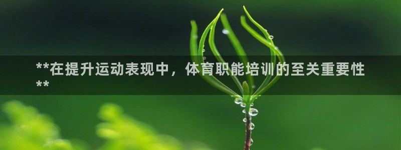 极悦平台创始人背景故事视频：**在提升运动表现中，体