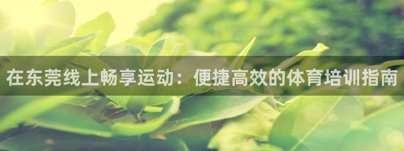 极悦平台安全吗可靠吗：在东莞线上畅享运动：便捷高效的