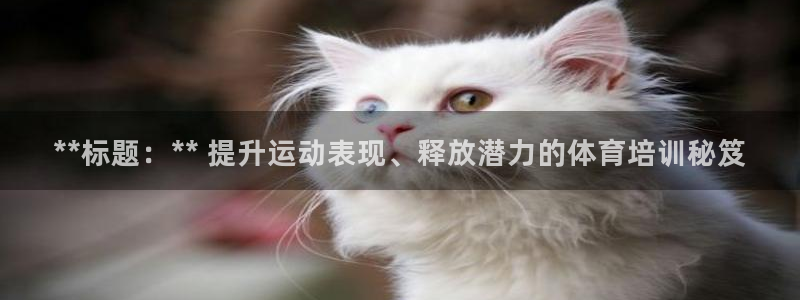 极悦平台客服团队：**标题：** 提升运动表现、释放