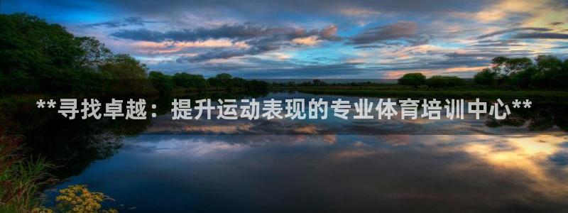 极悦官网注册最新版本更新内容在哪：**寻找卓越：提升