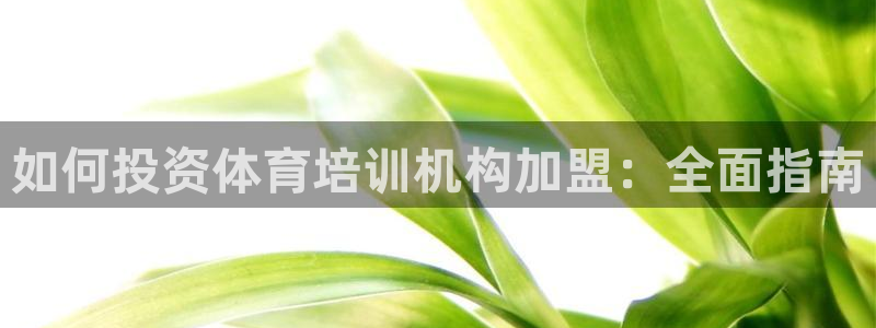 极悦官网首页：如何投资体育培训机构加盟：全面指南