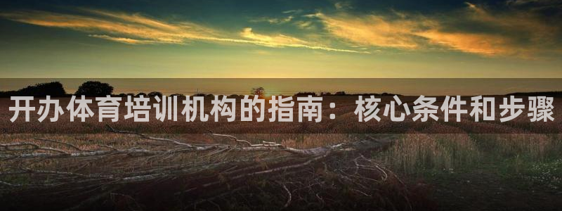 极悦平台注册登录入口官网：开办体育培训机构的指南：核