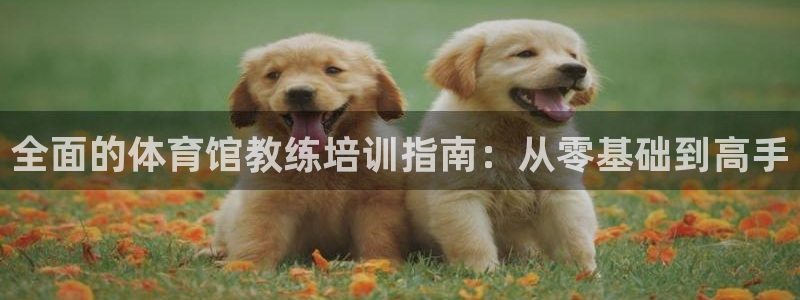 极悦平台官网登录不了怎么办：全面的体育馆教练培训指南